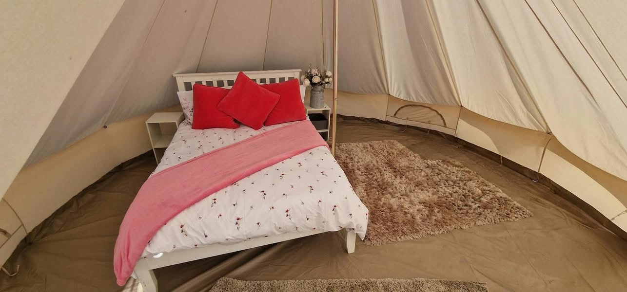 Cozy Bed